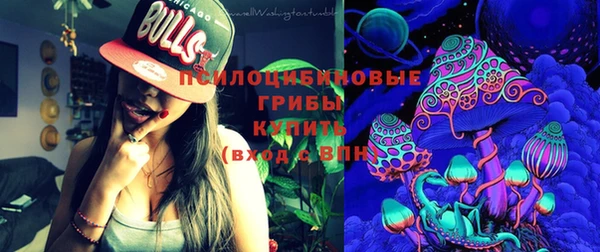 круглые Туринск